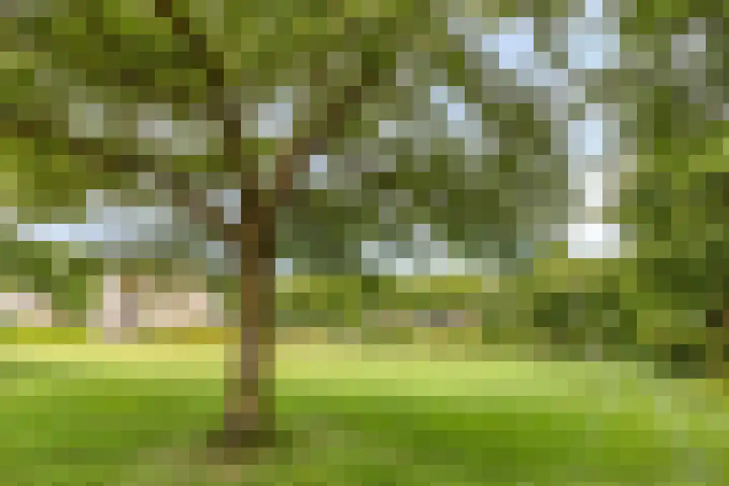 Europalaan 68 Eindhoven thumbnail 38