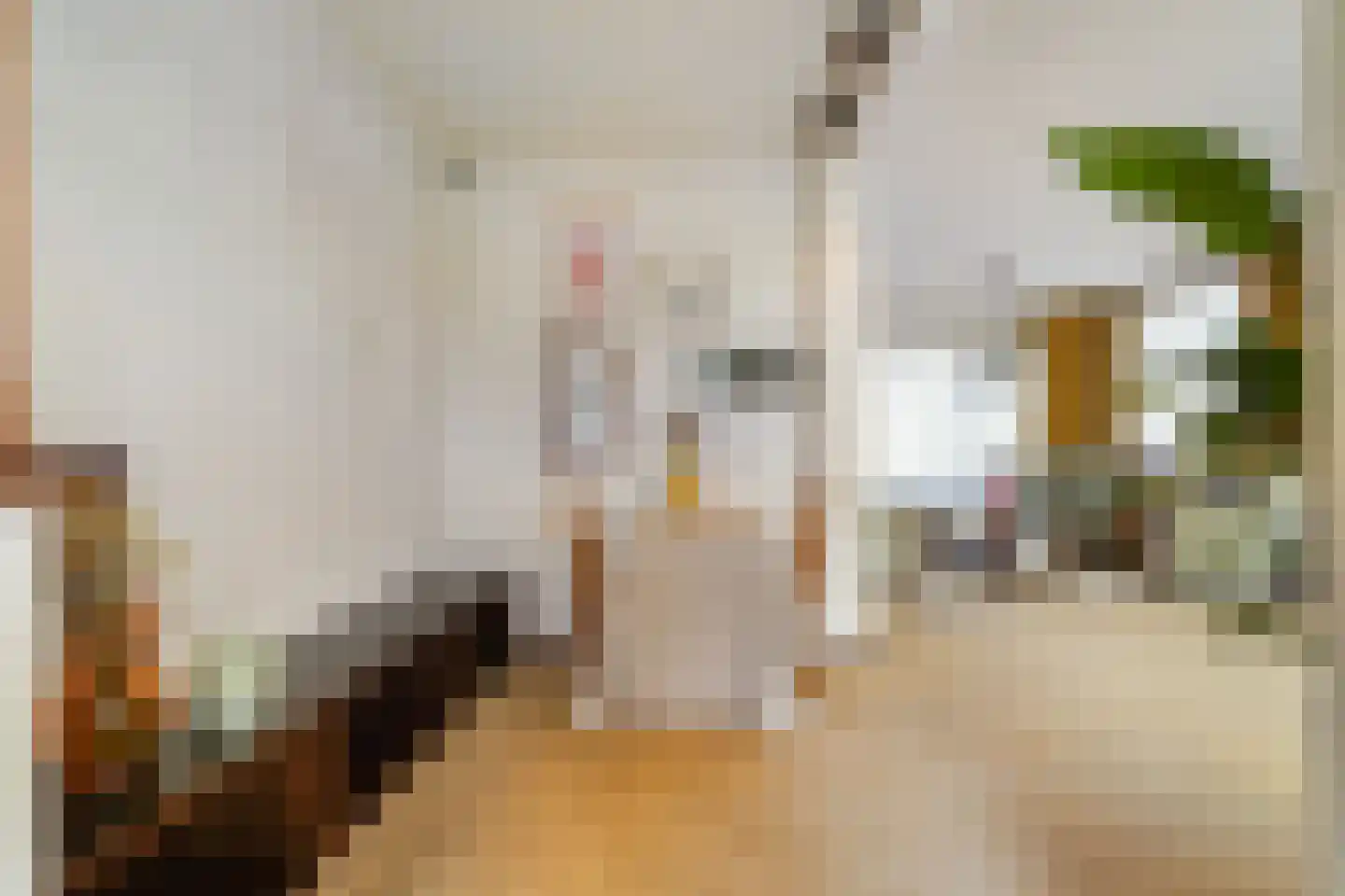 Europalaan 7 Liempde thumbnail 21