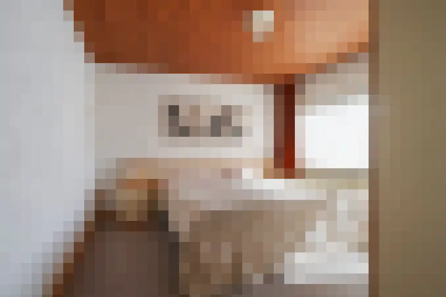Europalaan 7 Liempde thumbnail 28