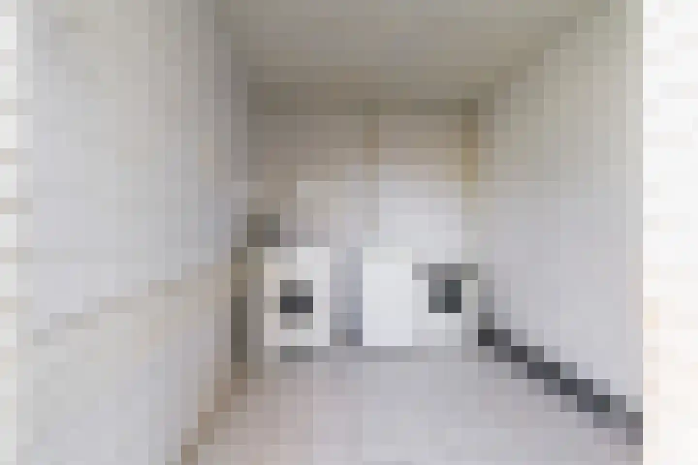 Europalaan 7 Liempde thumbnail 33