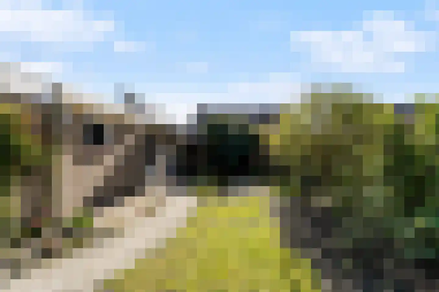 Europalaan 7 Liempde thumbnail 39