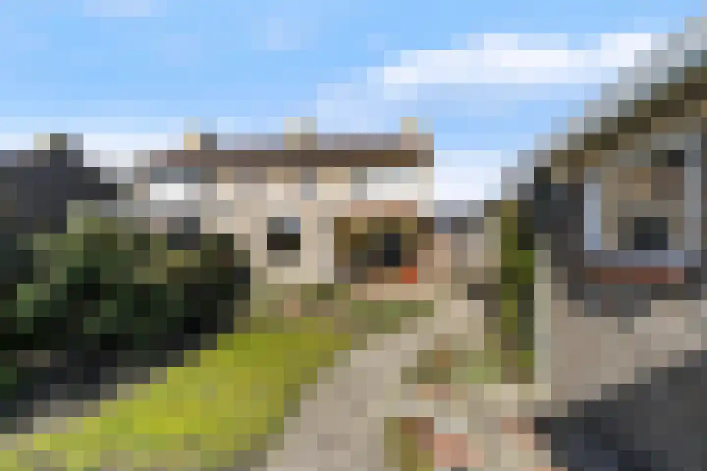 Europalaan 7 Liempde thumbnail 40