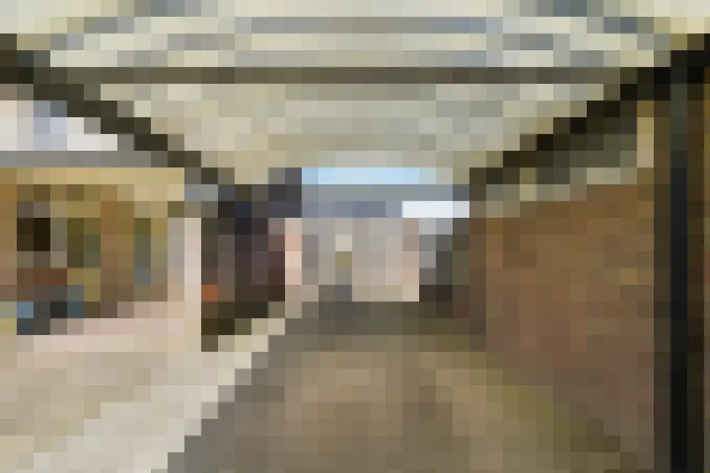 Europalaan 7 Liempde thumbnail 41