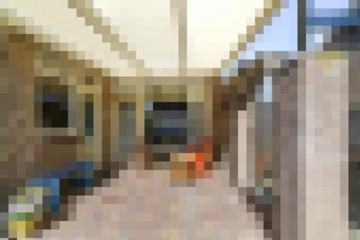 Europalaan 7 Liempde thumbnail 43