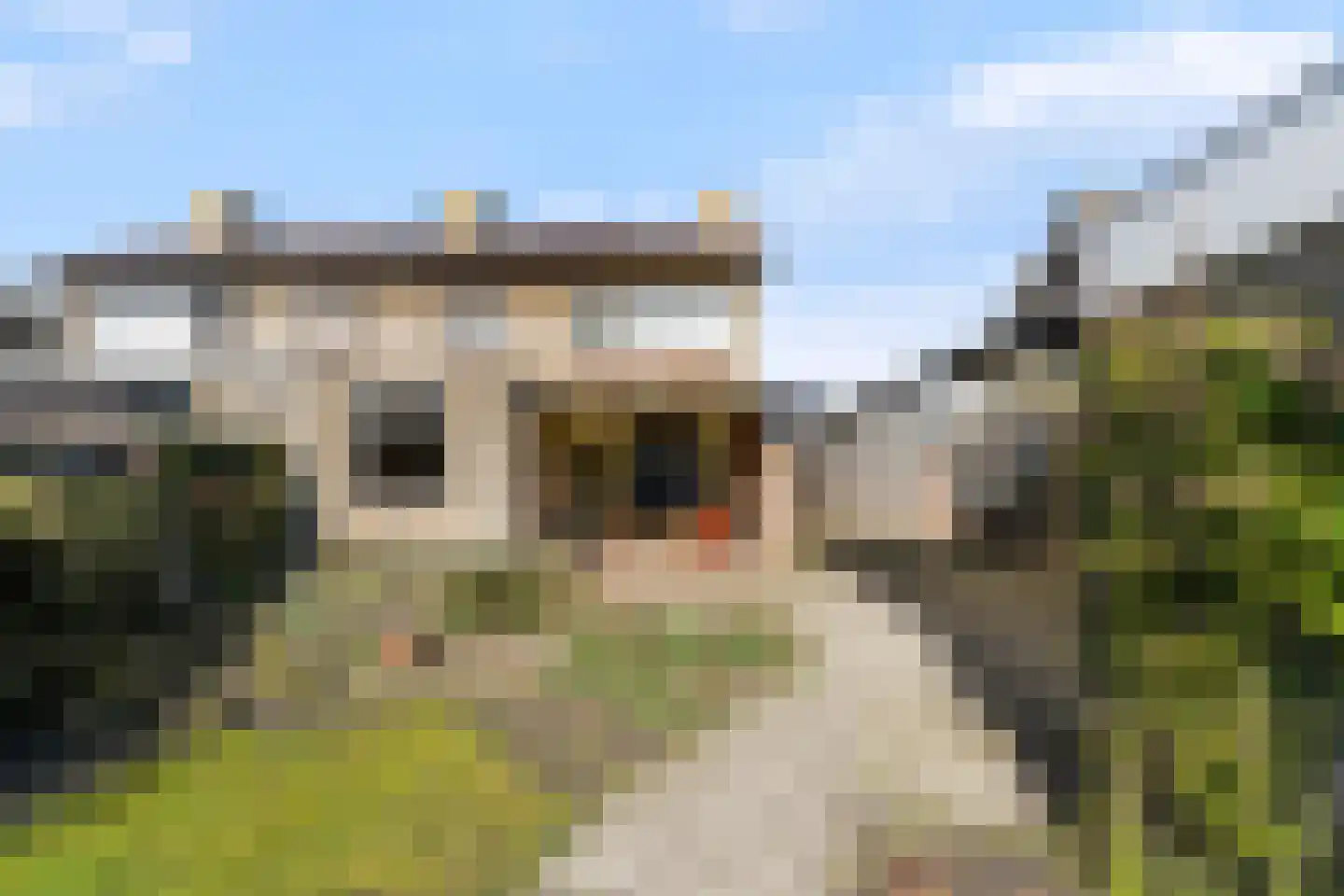 Europalaan 7 Liempde thumbnail 44