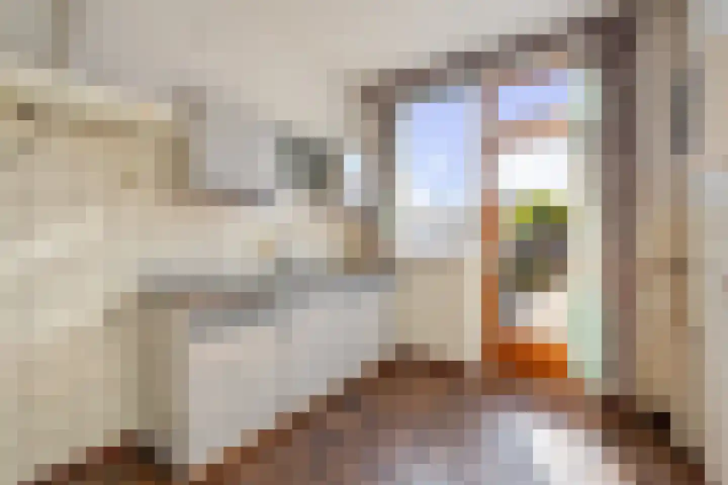 Europalaan 71 Rheden thumbnail 10