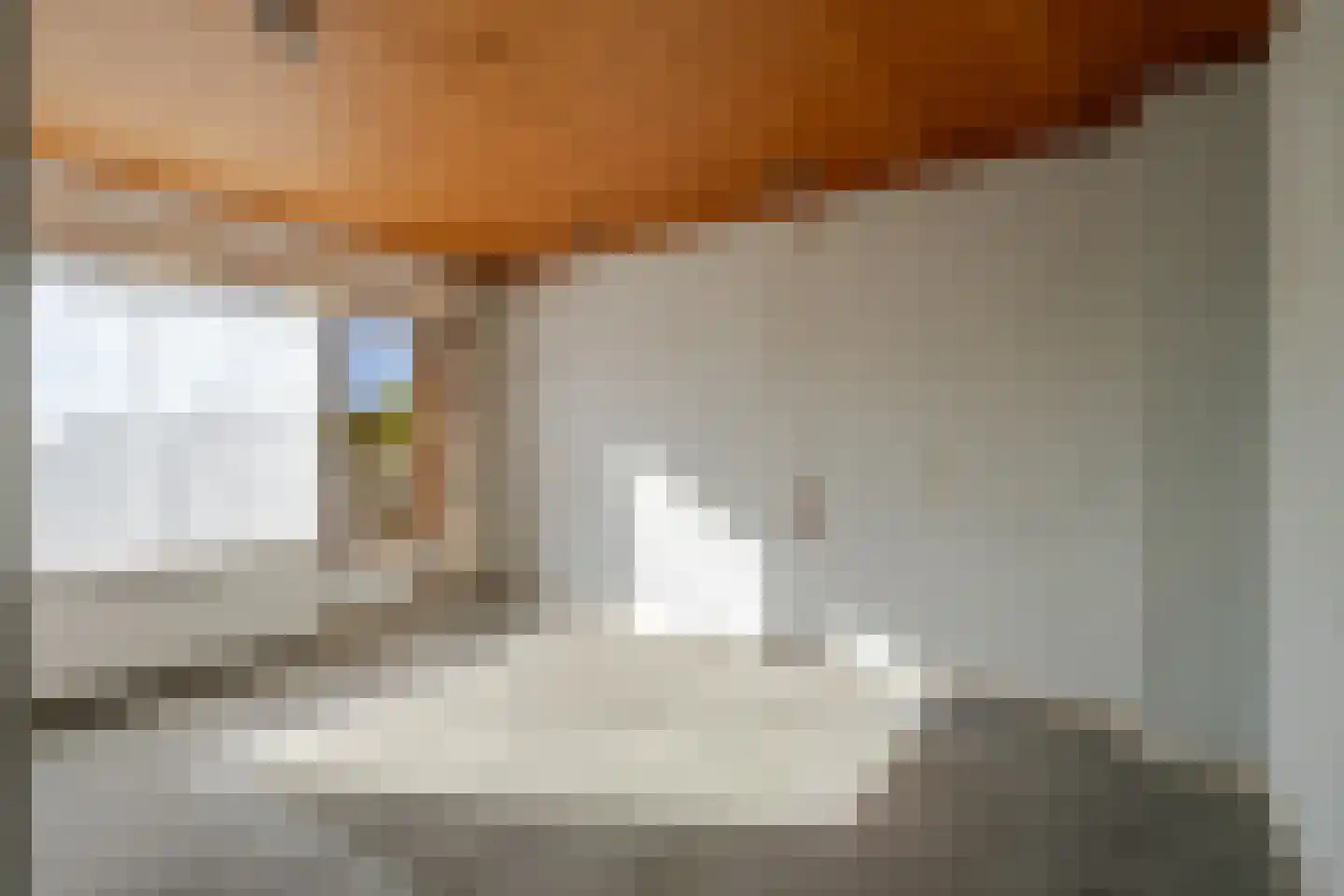 Europalaan 71 Rheden thumbnail 13