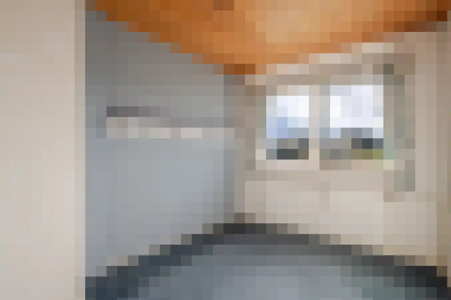 Europalaan 71 Rheden thumbnail 16