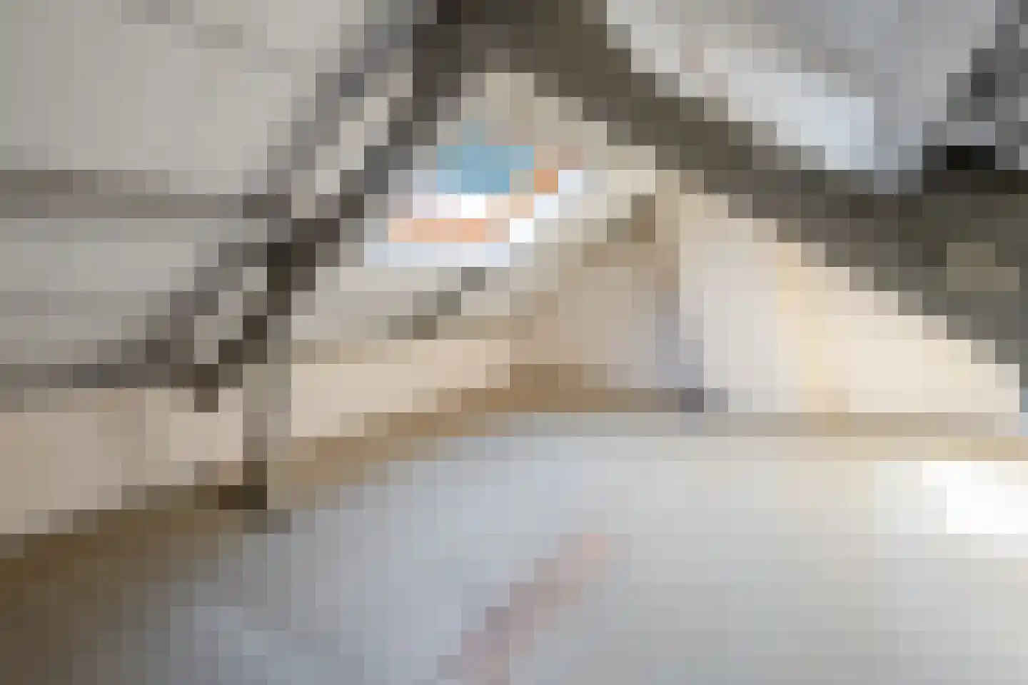 Europalaan 71 Rheden thumbnail 20