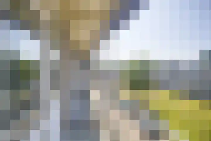Europalaan 73 Tilburg thumbnail 16