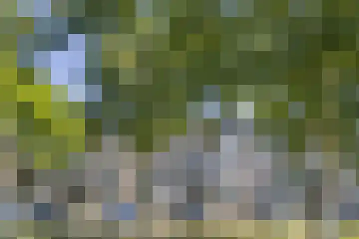 Europalaan 73 Tilburg thumbnail 31
