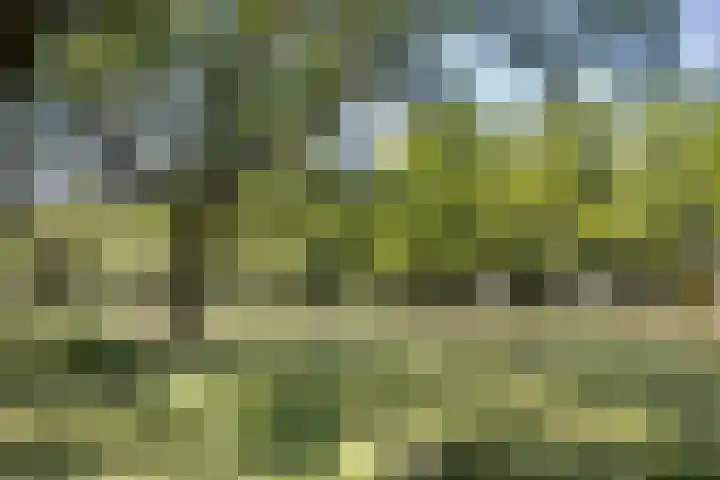 Europalaan 73 Tilburg thumbnail 4
