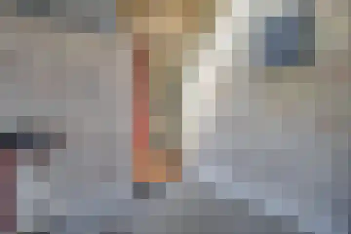 Europalaan 73 Tilburg thumbnail 6