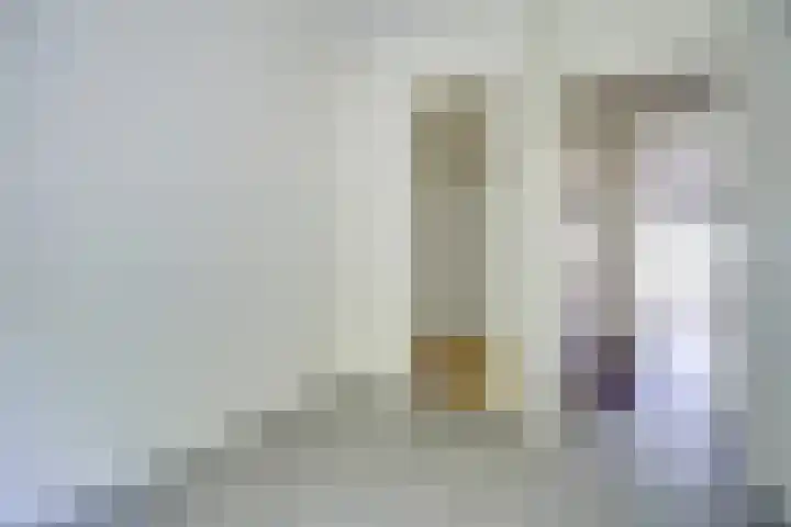 Europalaan 73 Tilburg thumbnail 8
