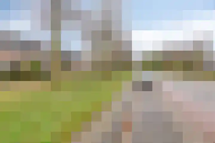 Europalaan 74 Boxtel thumbnail 9