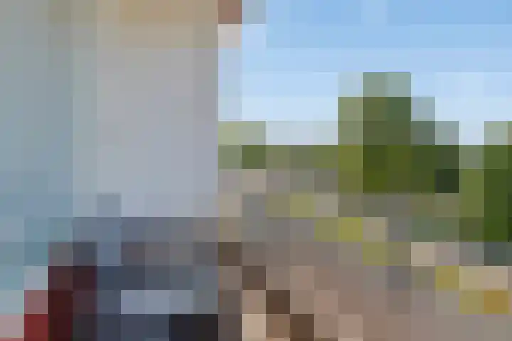 Europalaan 74 Eindhoven thumbnail 20