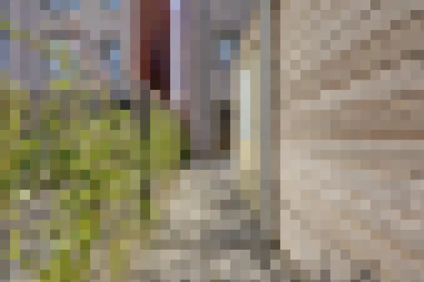 Europalaan 752 Almere thumbnail 36