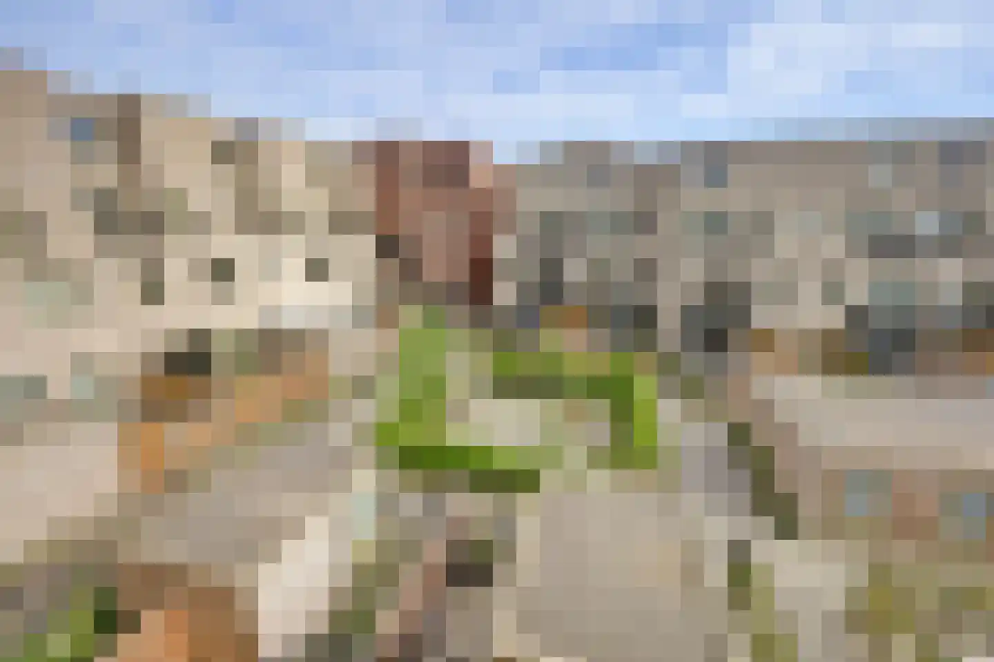 Europalaan 752 Almere thumbnail 38