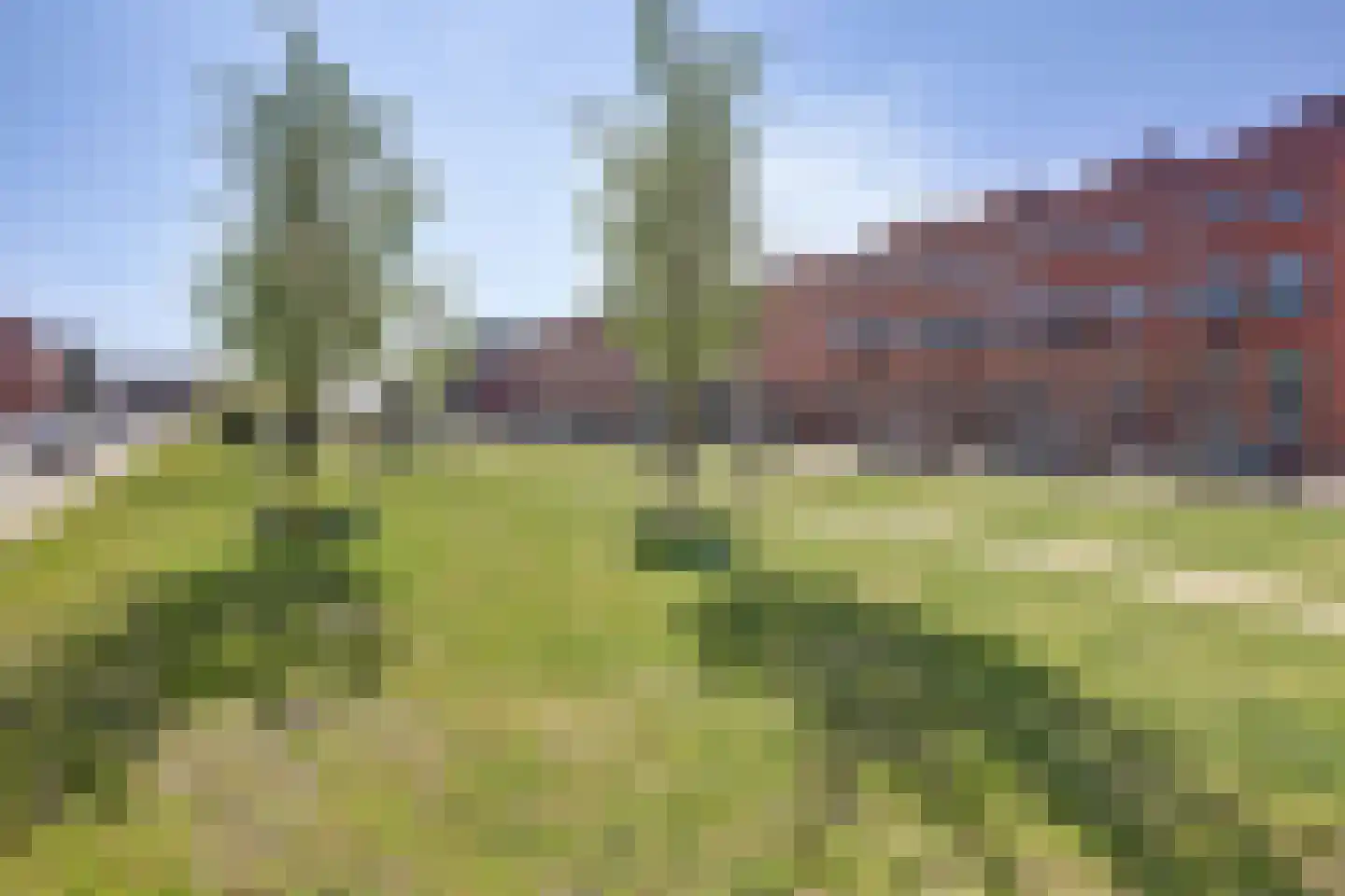 Europalaan 752 Almere thumbnail 48