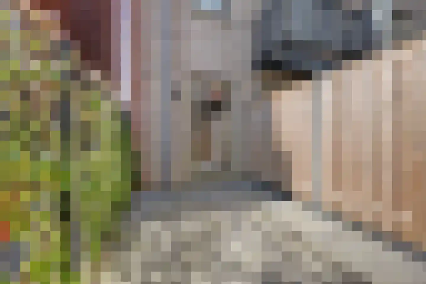 Europalaan 752 Almere thumbnail 9