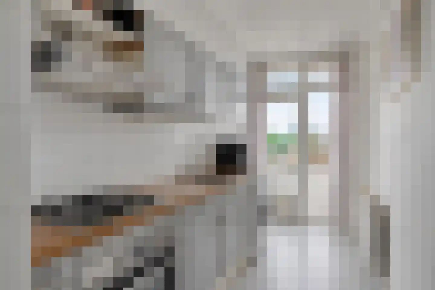 Europalaan 76 Eindhoven thumbnail 4