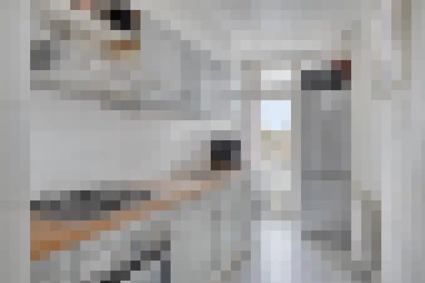 Europalaan 76 Eindhoven thumbnail 4