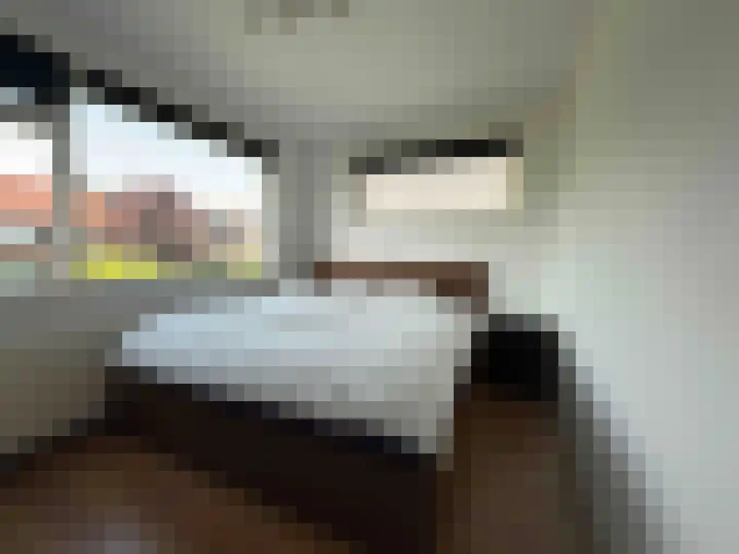 Europalaan 77 Rheden thumbnail 12