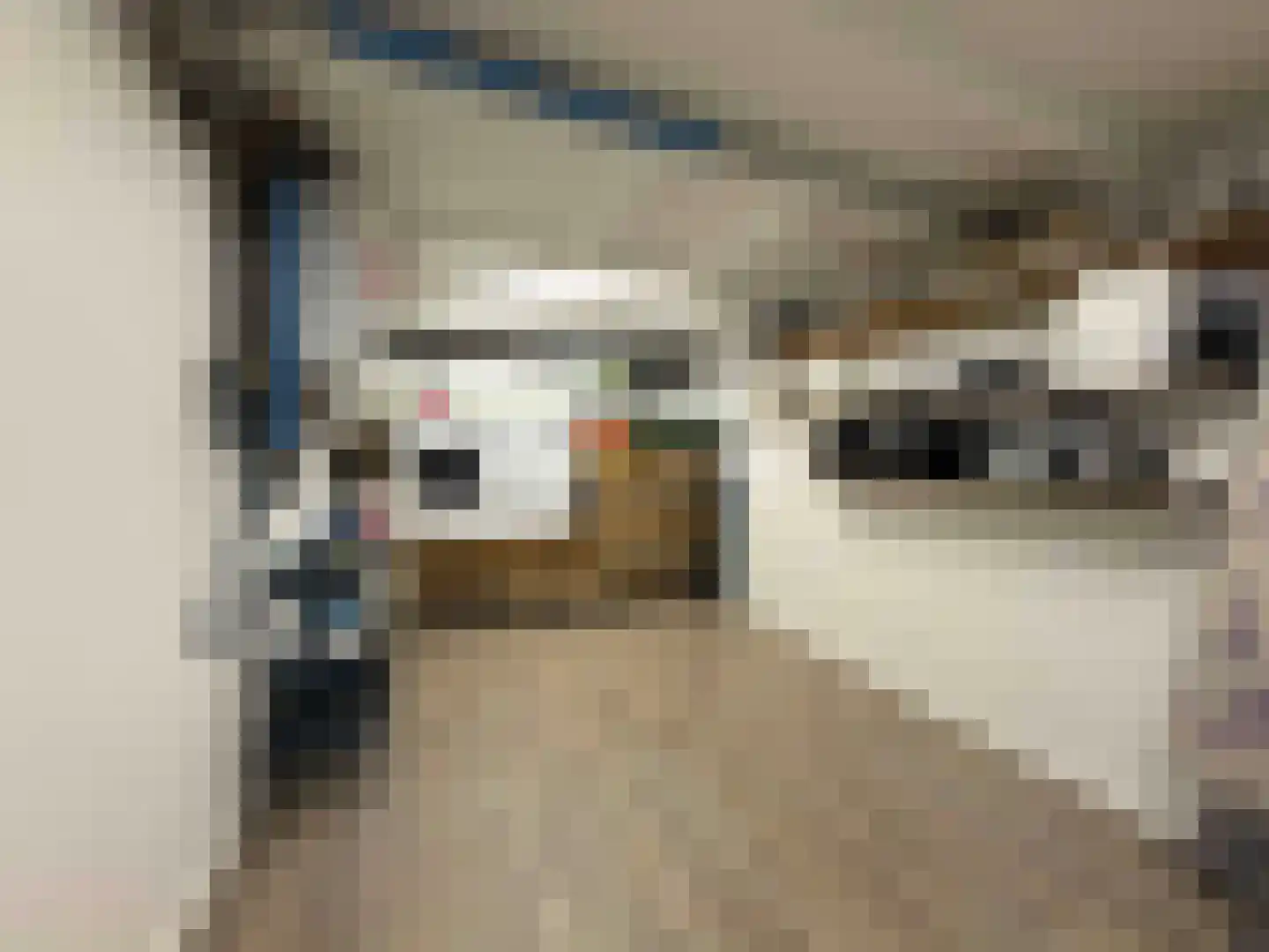 Europalaan 77 Rheden thumbnail 21