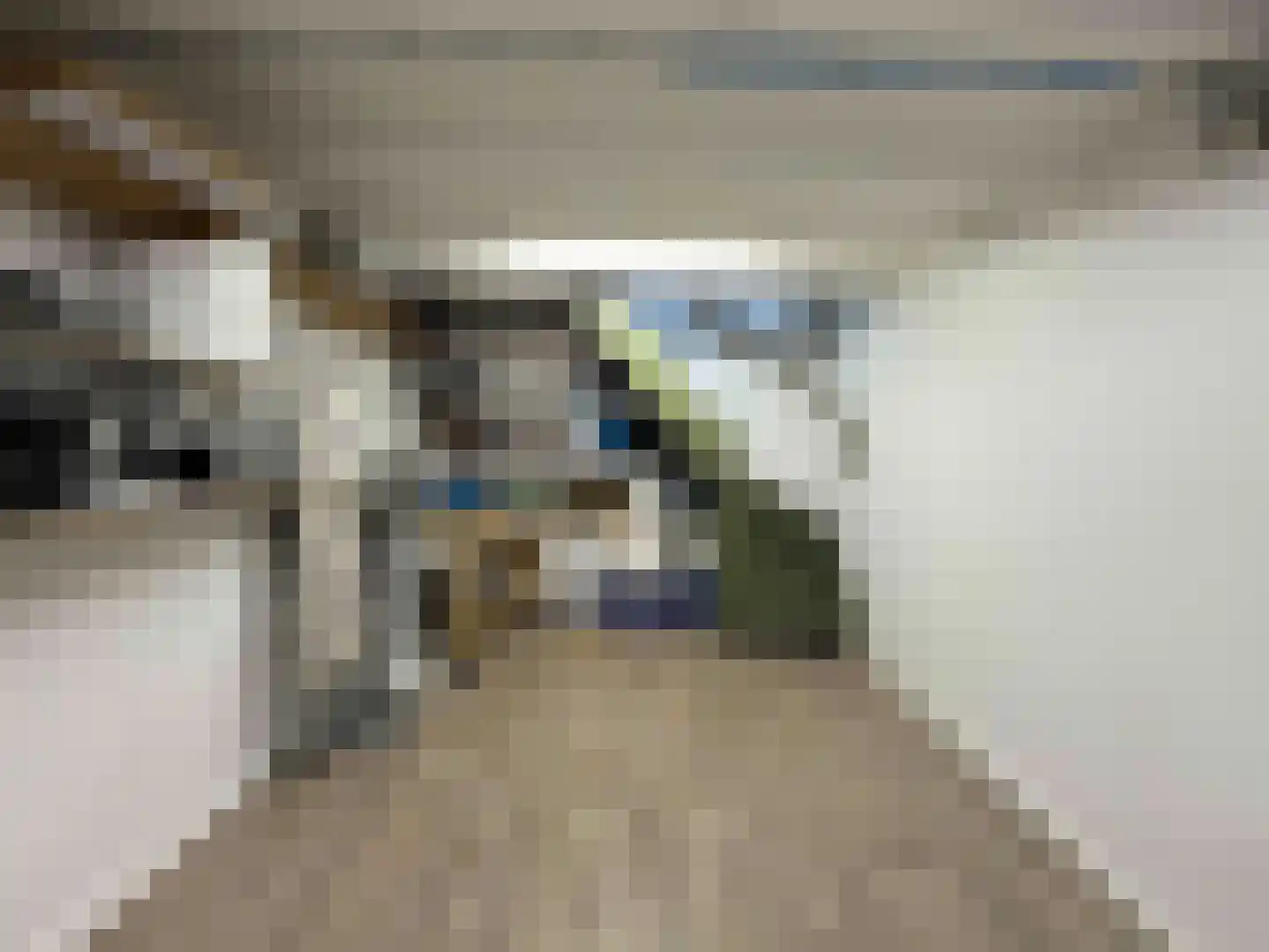 Europalaan 77 Rheden thumbnail 22