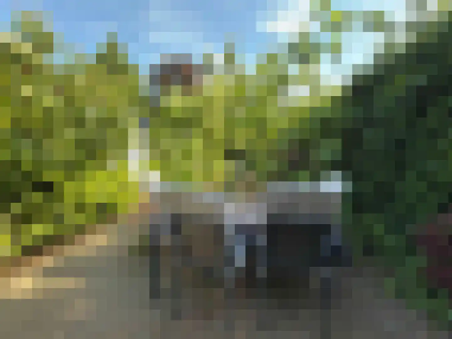 Europalaan 77 Rheden thumbnail 23