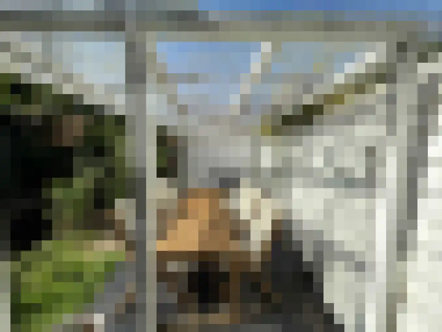 Europalaan 77 Rheden thumbnail 25