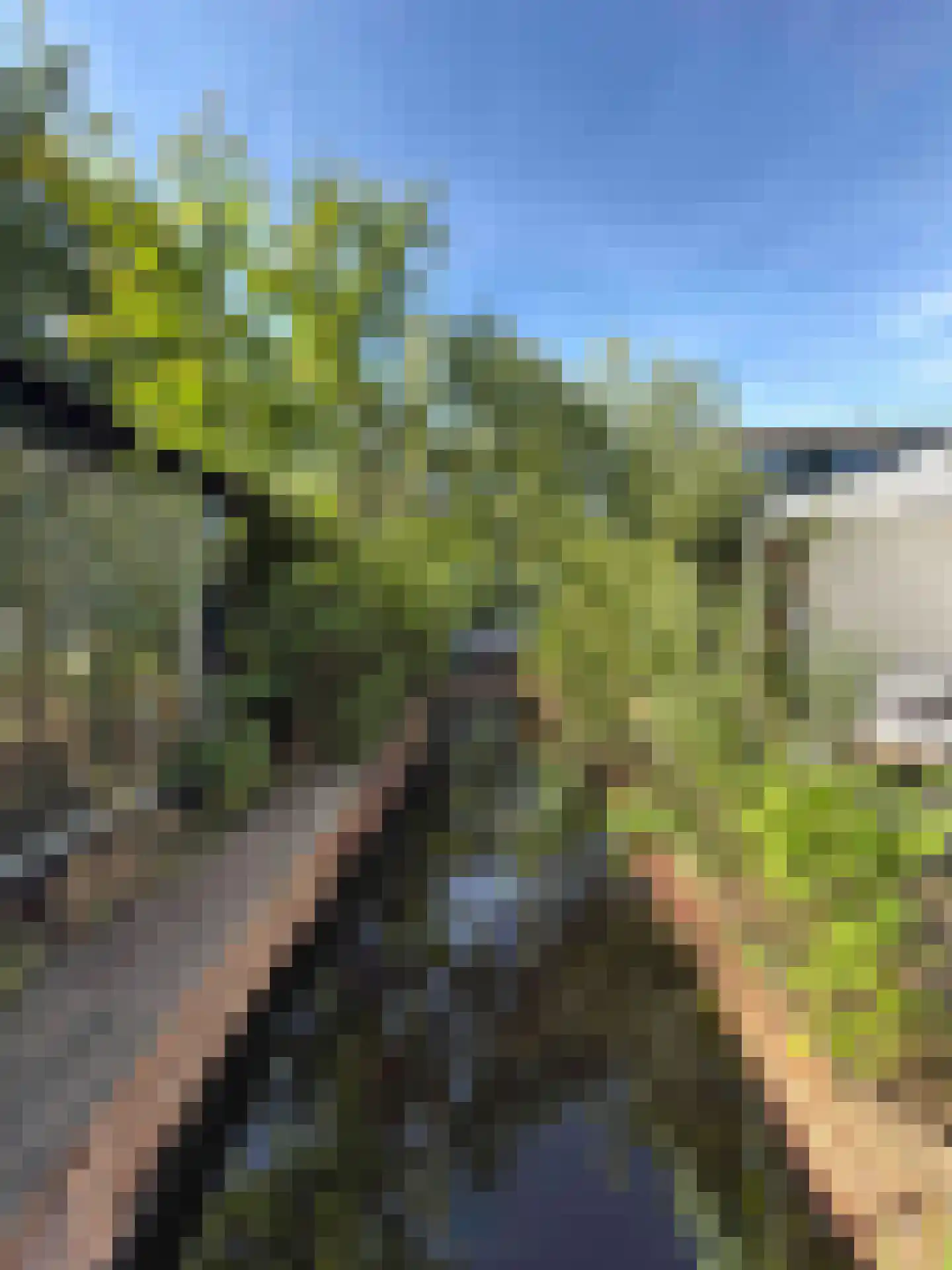 Europalaan 77 Rheden thumbnail 26