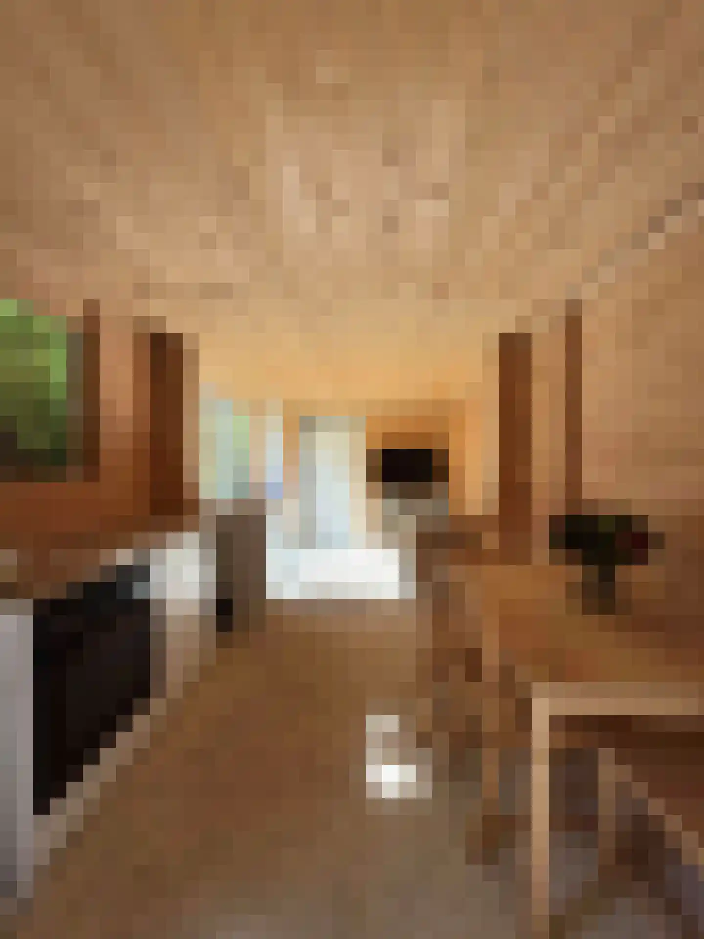 Europalaan 77 Rheden thumbnail 31