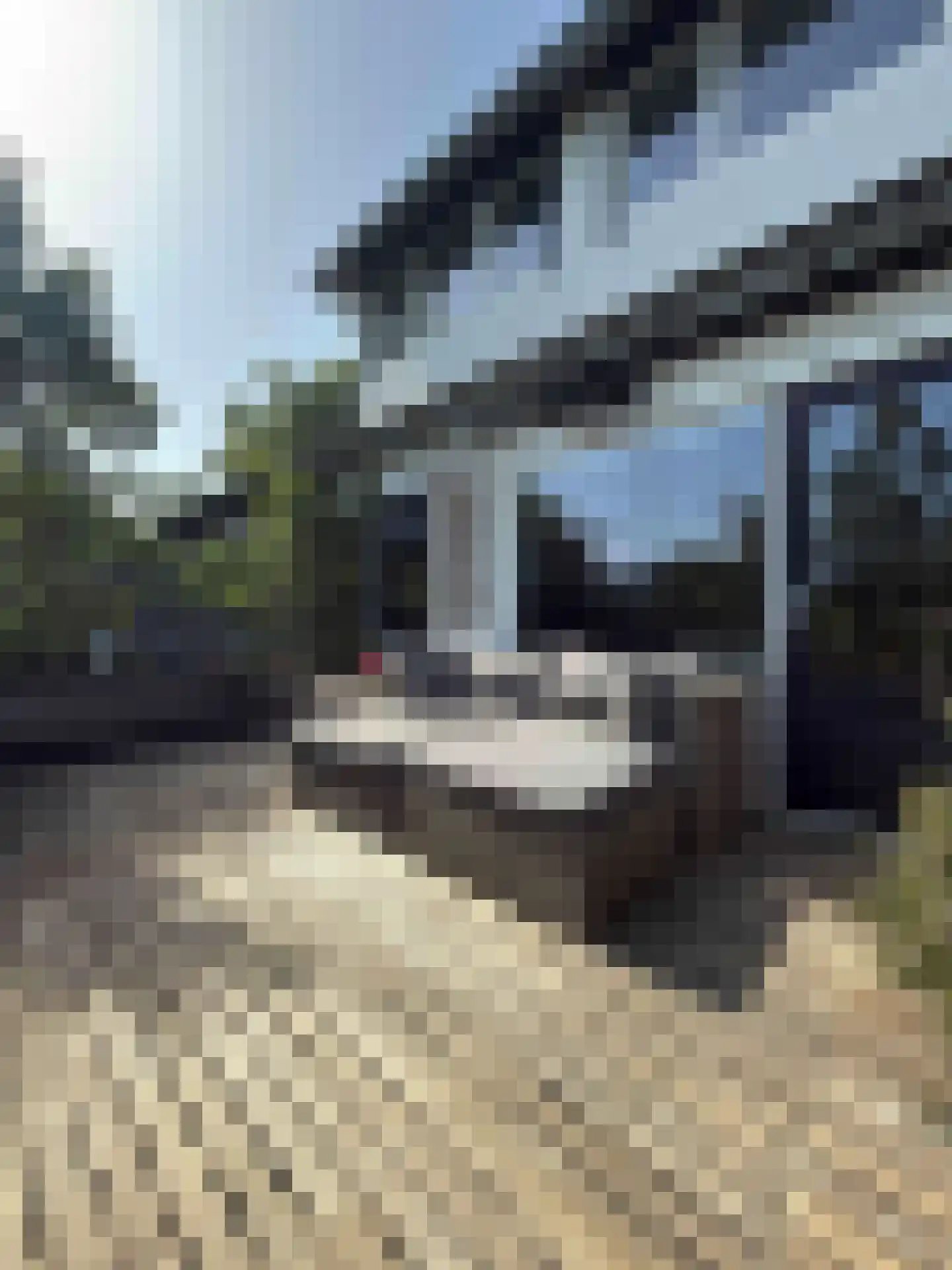 Europalaan 77 Rheden thumbnail 7