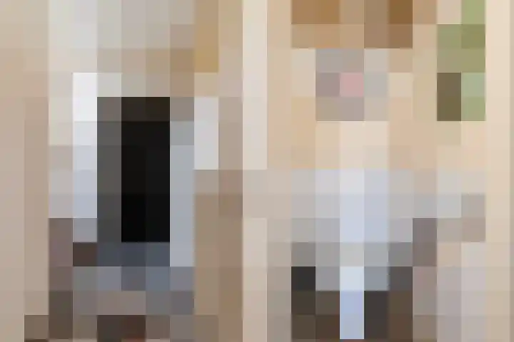 Europalaan 8 Bathmen thumbnail 11