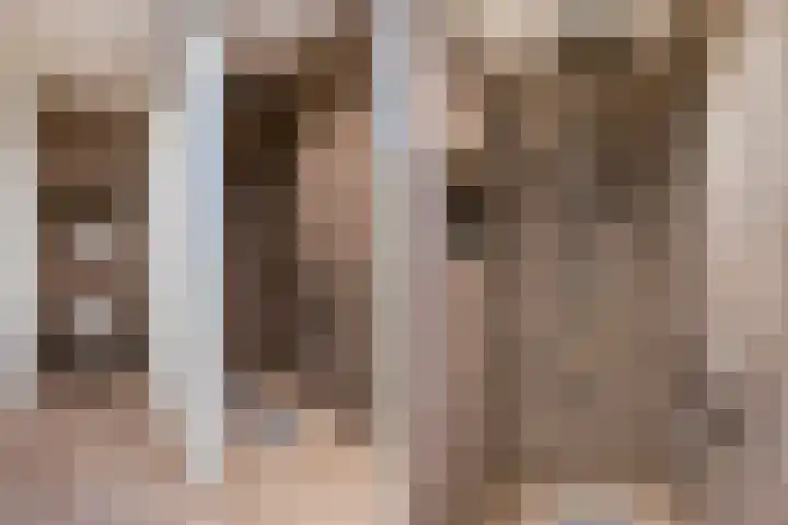 Europalaan 8 Bathmen thumbnail 21