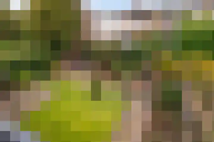 Europalaan 8 Bathmen thumbnail 27