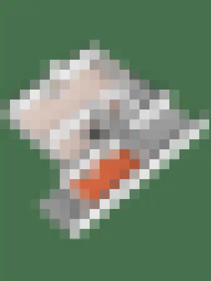 Europalaan 8 Bathmen thumbnail 31