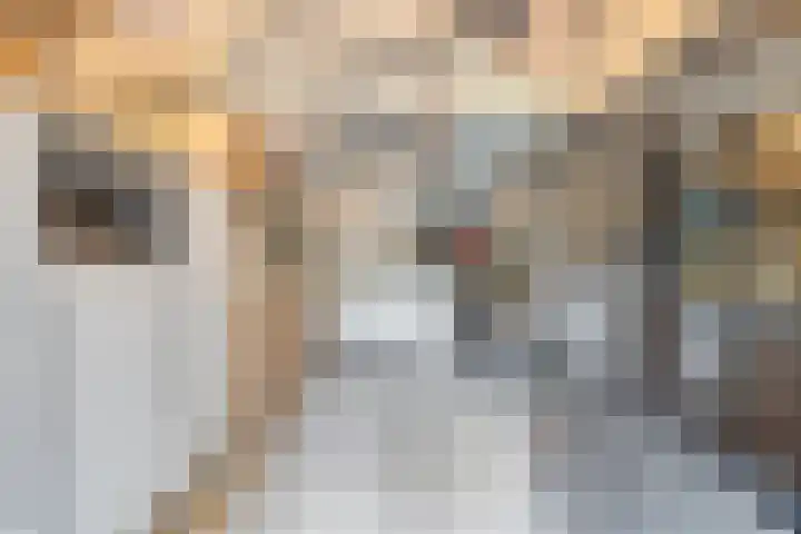 Europalaan 8 Drunen thumbnail 17