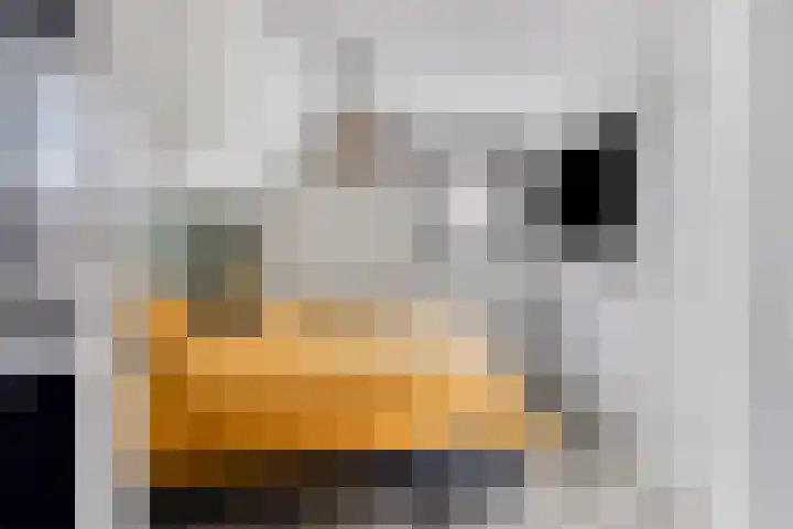 Europalaan 8 Drunen thumbnail 21