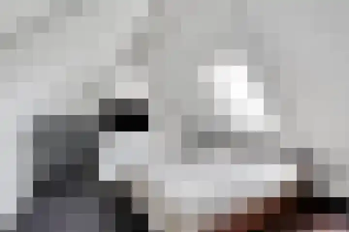 Europalaan 8 Drunen thumbnail 28