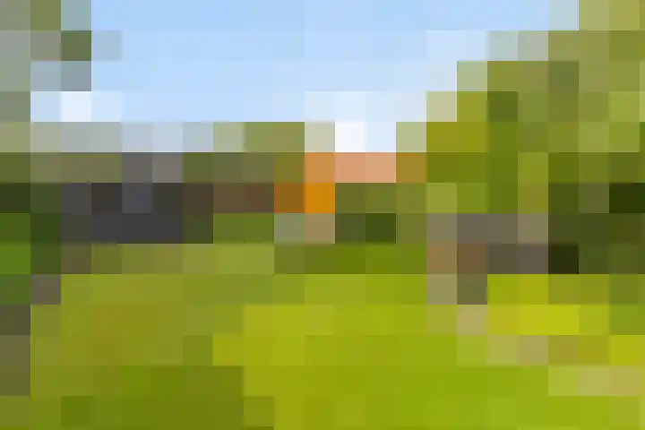 Europalaan 8 Drunen thumbnail 37