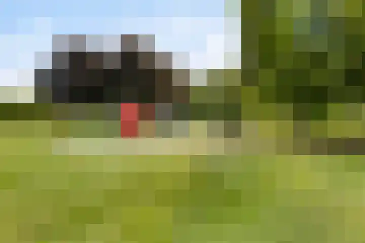 Europalaan 8 Drunen thumbnail 45