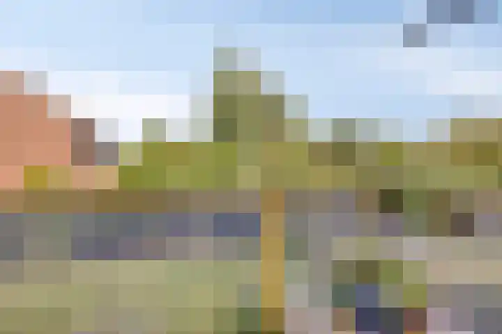 Europalaan 81 Winterswijk thumbnail 23