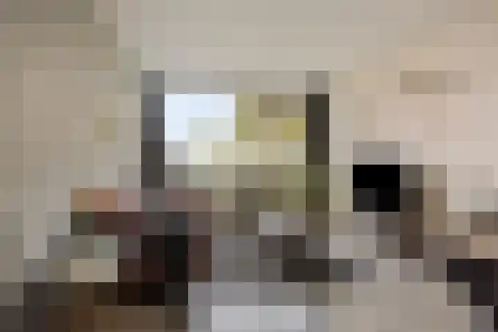Europalaan 81 Winterswijk thumbnail 9