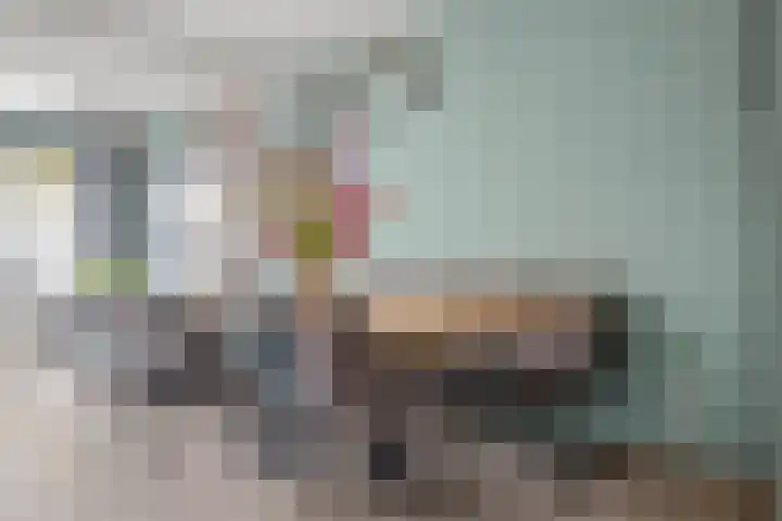 Europalaan 89 Drunen thumbnail 12