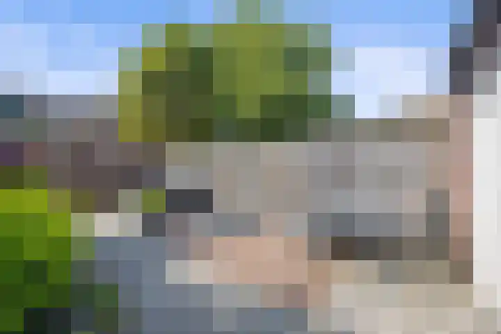 Europalaan 89 Drunen thumbnail 29