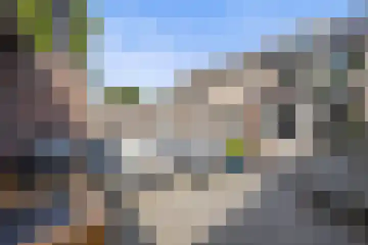 Europalaan 89 Drunen thumbnail 30