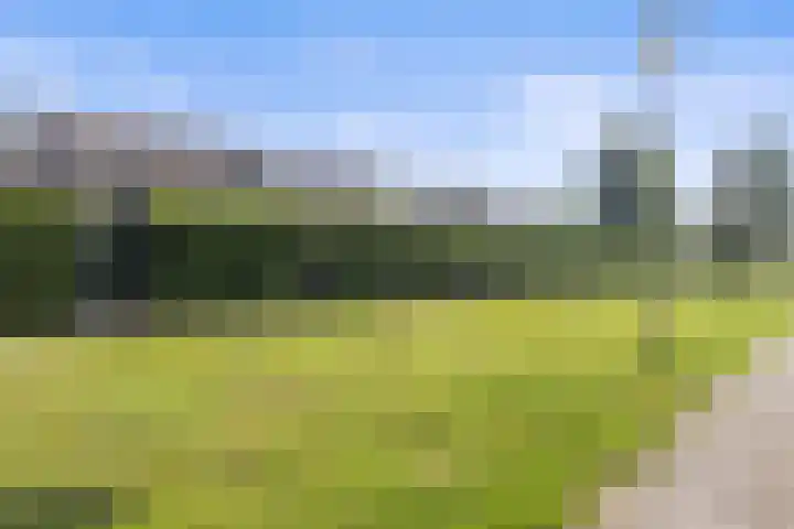 Europalaan 89 Drunen thumbnail 36