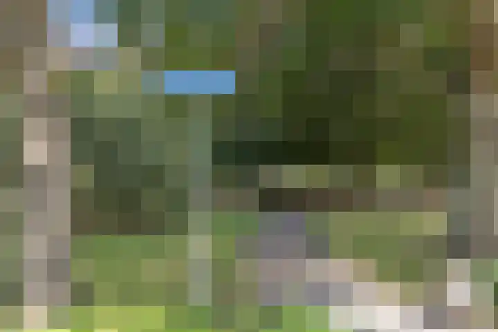 Europalaan 89 Drunen thumbnail 39